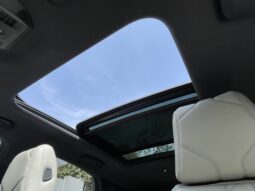 
										DS 7 Crossback E-Tense 1.6 ETense 225 Auto Rivoli full									